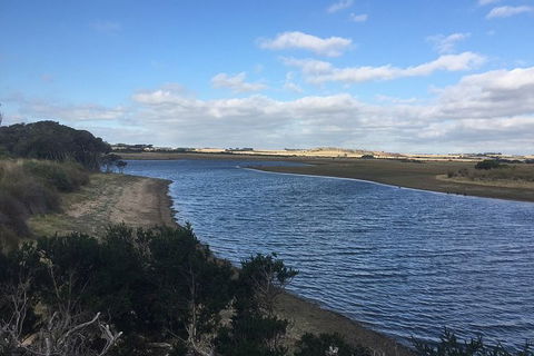Phillip Island Walking & Bird Watching Tour - Tourism Gold Coast 7
