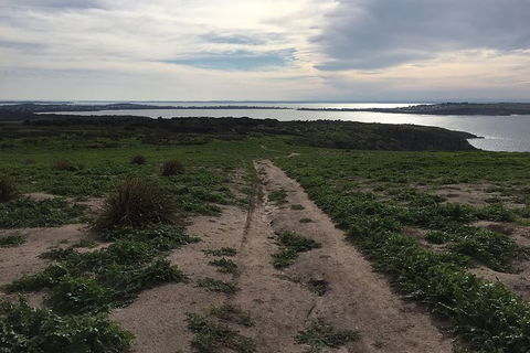 Phillip Island Walking & Bird Watching Tour - Tourism Gold Coast 4