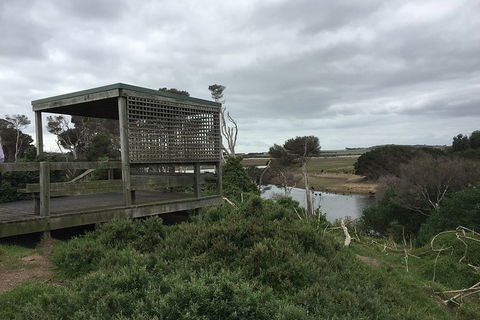 Phillip Island Walking & Bird Watching Tour - Tourism Gold Coast 2