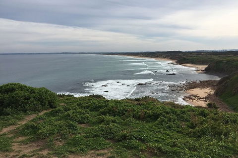 Phillip Island Walking & Bird Watching Tour - Tourism Gold Coast 1