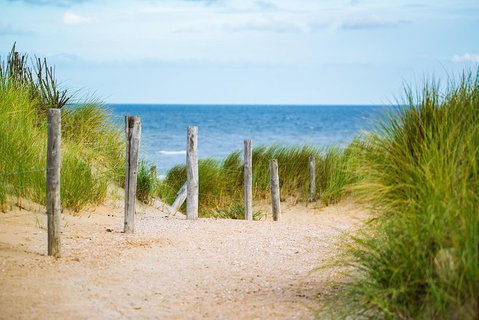 2 Day Exclusively Private Tour Of Phillip Island & The Penguin Parade - Tourism Gold Coast 3