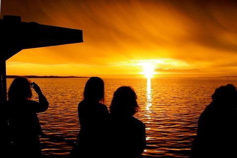 Phillip Island Twilight Cruise - Tourism Gold Coast 1