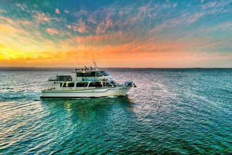 Phillip Island Twilight Cruise - Tourism Gold Coast 3