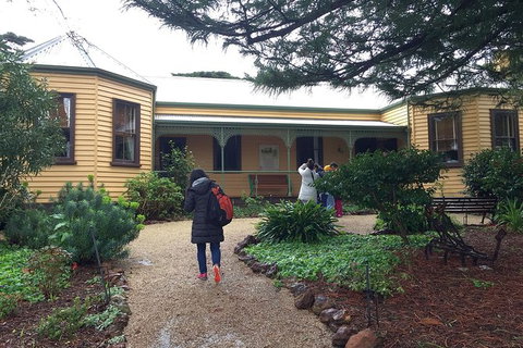 Day Tour Of Phillip Island Nature Parks & Penguins - Tourism Gold Coast 7