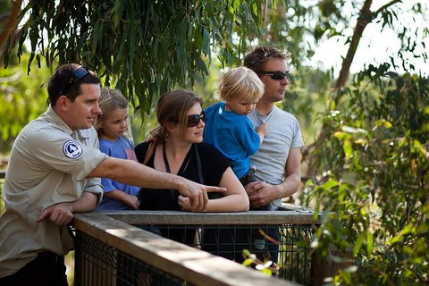 Phillip Island 3 Park Pass: Penguin Parade, Koala Conservation Centre And Penguin Parade, Koala ConservationHeritage Farm - Tourism Gold Coast 0