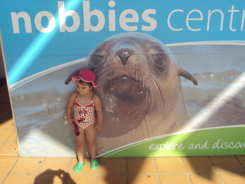 Phillip Island 3 Park Pass: Penguin Parade, Koala Conservation Centre And Penguin Parade, Koala ConservationHeritage Farm - Tourism Gold Coast 3