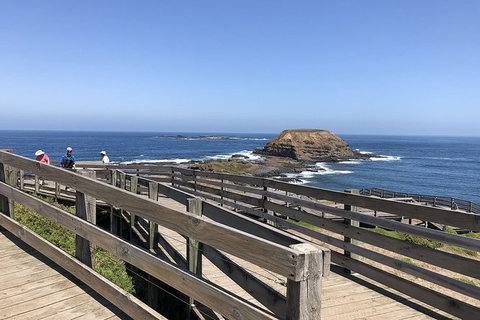 Day Tour Of Phillip Island, The Surrounding Region And Wine Tasting - Tourism Gold Coast 14