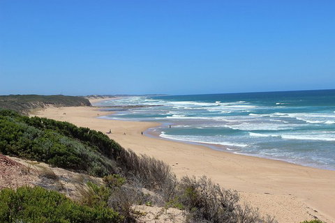 Day Tour Of Phillip Island, The Surrounding Region And Wine Tasting - Tourism Gold Coast 5