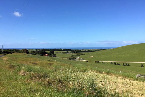 Day Tour Of Phillip Island, The Surrounding Region And Wine Tasting - Tourism Gold Coast 6