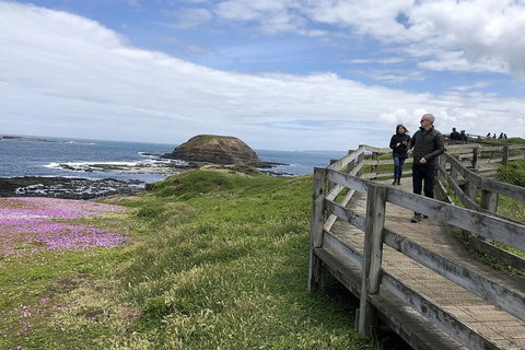 Phillip Island Tour Including Phillip Island Penguin Parade - Tourism Gold Coast 10