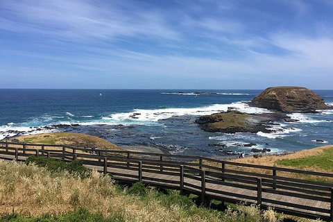 Phillip Island Tour Including Phillip Island Penguin Parade - Tourism Gold Coast 6