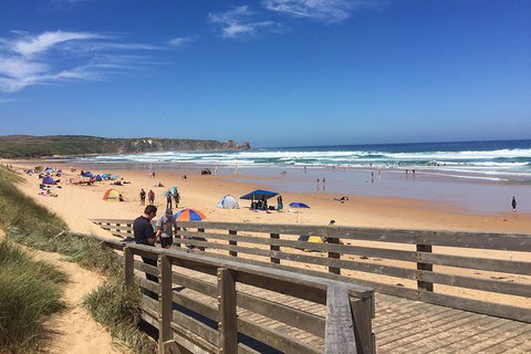 Phillip Island Tour Including Phillip Island Penguin Parade - Tourism Gold Coast 2