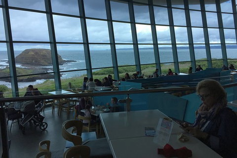 Phillip Island Tour Including Phillip Island Penguin Parade - Tourism Gold Coast 4