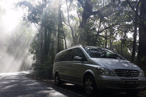 Shore Excursion-Healesville-Sanctuary-Private-Group- Max 7 PAX -Yarra Valley - Gold Coast 2