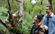 Shore Excursion-Healesville-Sanctuary-Private-Group- Max 7 PAX -Yarra Valley - thumb 6