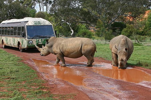 Melbourne Attractions Pass Including Melbourne Zoo, Hop-on Hop-off Bus And SEA LIFE Aquarium - Tourism Gold Coast 13