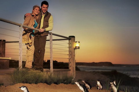 Melbourne Attractions Pass Including Melbourne Zoo, Hop-on Hop-off Bus And SEA LIFE Aquarium - Tourism Gold Coast 10