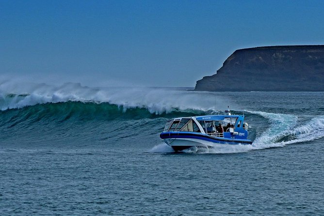Phillip Island VIC Tourism Gold Coast