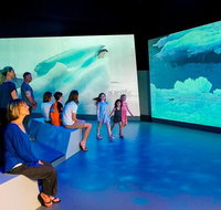 Phillip Island Antarctic Journey Entry ticket - Tourism Gold Coast
