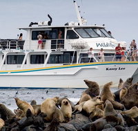 Phillip Island Seal-Watching Cruise - Tourism Gold Coast