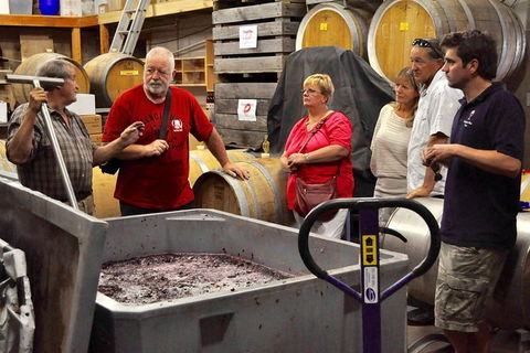 5 Hour Private Wine Tour - Tourism Gold Coast 2