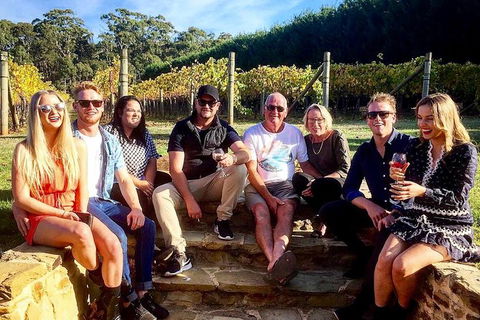 5 Hour Private Wine Tour - Tourism Gold Coast 5