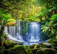 Day Tour in Mt. Field Mt. Wellington Bonorong Wildlife Sanctuary and Richmond - Tourism Gold Coast