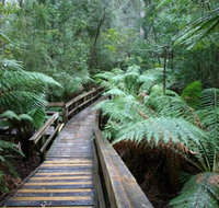Small-group DayTour from Hobart Hastings Caves Huon Valley and Tahune AirWalk - Tourism Gold Coast