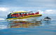 3-Hour Tasman Peninsula Wilderness Cruise From Port Arthur - thumb 5