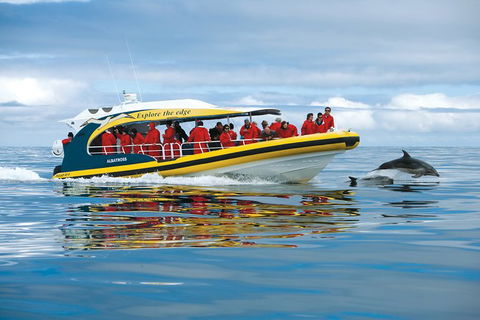 3-Hour Tasman Peninsula Wilderness Cruise From Port Arthur - Tourism Gold Coast 5