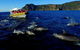 3-Hour Tasman Peninsula Wilderness Cruise From Port Arthur - thumb 4