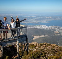 Mt Field National Park Active Day-Trip Including Bonorong and Mt Wellington - Tourism Gold Coast
