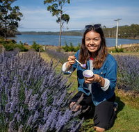 Port Arthur and Lavender Farm Active Day Tour - Tourism Gold Coast