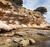 Maria Island premium private photo-oriented day tour from Hobart - Tourism Gold Coast