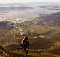 Mt Wellington Half Day Guided Summit Hike - Tourism Gold Coast