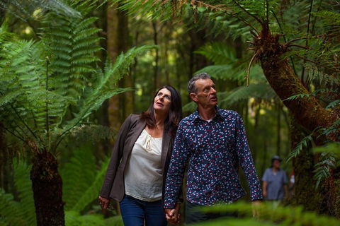 West Coast Wilderness Railway: River And Rainforest From Strahan - Tourism Gold Coast 3