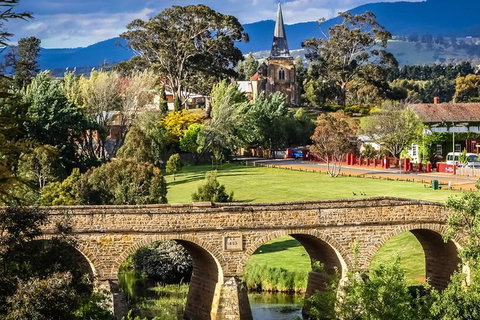 Shore Excursion-Hobart Wanderer - Tourism Gold Coast 0
