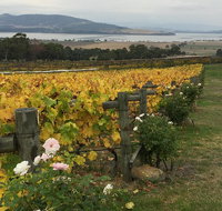 Mona and Wine Experience Tour - Tourism Gold Coast