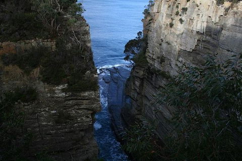 Cruise Ship Special From Port Arthur: Explore Tasman Peninsula With Free WiFi - Tourism Gold Coast 1