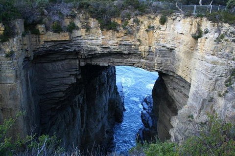 Cruise Ship Special From Port Arthur: Explore Tasman Peninsula With Free WiFi - Tourism Gold Coast 0
