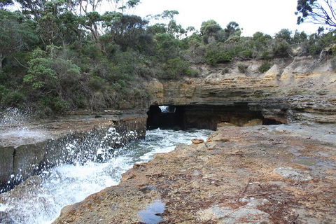 Cruise Ship Special From Port Arthur: Explore Tasman Peninsula With Free WiFi - Tourism Gold Coast 7