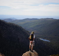 Mount Field National Park - Tarn Shelf  Russell Falls - Guided Hiking Tour - Tourism Gold Coast