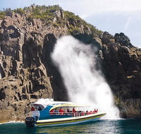 Full-Day Bruny Island Tour from Hobart - Tourism Gold Coast