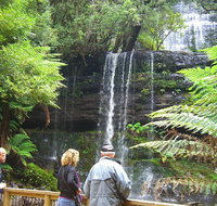 Mt Field National Park and Russell Falls from Hobart - Tourism Gold Coast