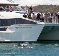 The Peppermint Bay Lunch Cruise from Hobart - Tourism Gold Coast