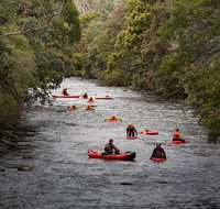 Meander Wilderness Experiences - Tourism Gold Coast