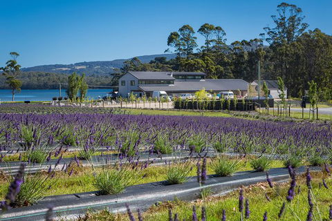 Private Tasman Peninsula Cruise Ship Tour From Port Arthur - Tourism Gold Coast 0