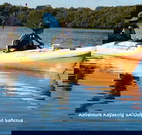 Adelaide Dolphin Sanctuary and Ships Graveyard Kayak Tour - Tourism Gold Coast