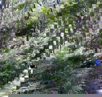 Self-Guided Waterfall Gully to Mount Lofty Hike from Adelaide - Tourism Gold Coast