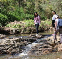 Small Group Bush Walk  BBQ with Wine Day Trip from Adelaide - Tourism Gold Coast